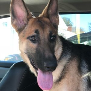 Meet your Posher, Kristin